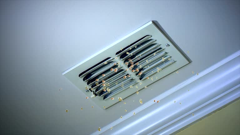Best Affordable Air Duct Cleaning  in Sunrise Beach Village, TX
