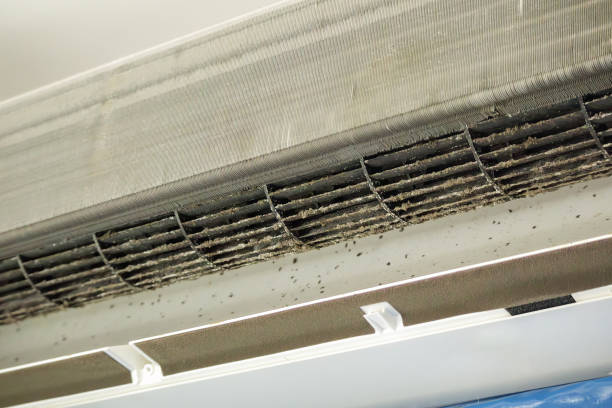 Best Affordable HVAC Duct Cleaning  in Sunrise Beach Village, TX